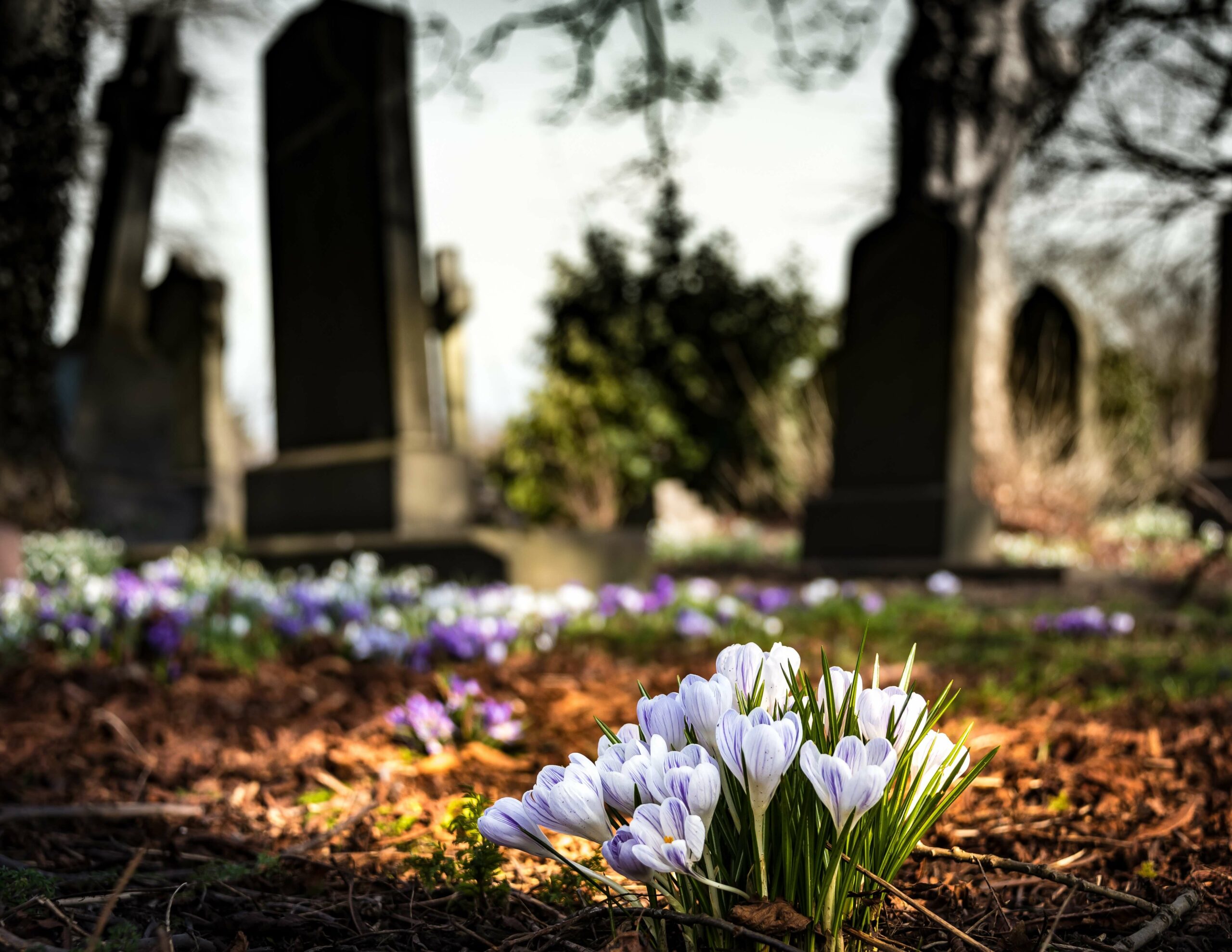 grave with flowers